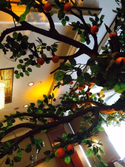 Artificial tree for hire, with orange fruit and dark green leaves, seen from below in a function room
