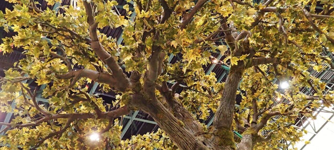 Large artificial tree for hire, looking up into a spreading canopy of yellow-green leaves and a mossy trunk