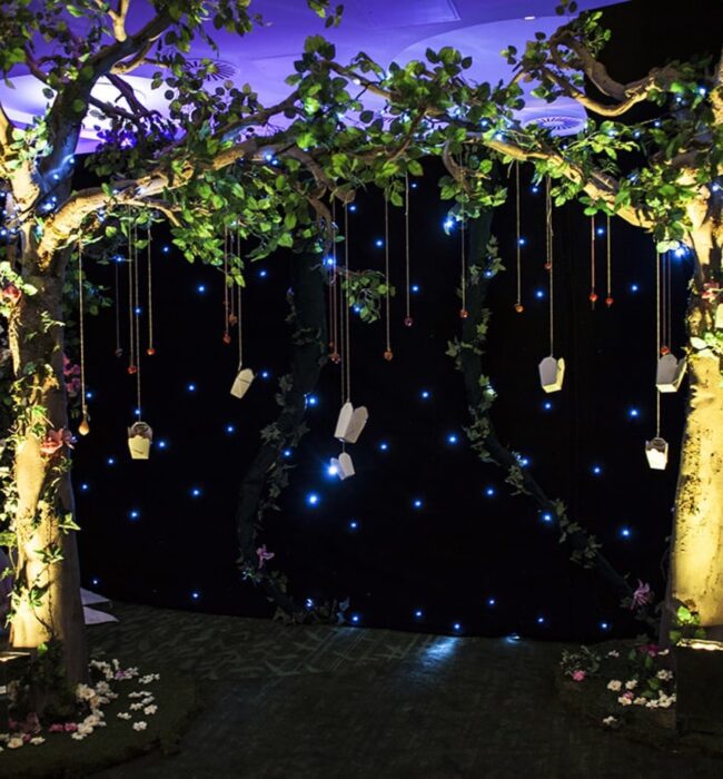 Artificial trees for hire, with hanging lantern decorations, uplit against a starlit black backdrop, petals at the base