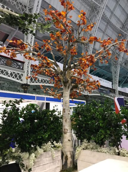 Artificial autumn tree with orange leaves for hire, above hedge planters with white flowers at an exhibition
