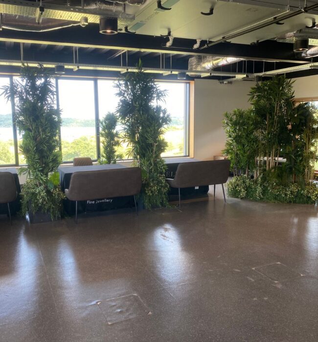 Artificial bamboo and foliage clumps for hire, beside jewellery display tables in front of large windows