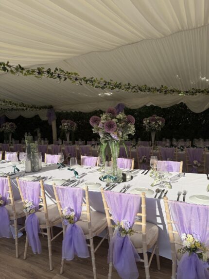 Artificial ivy garlands for hire, hung across a wedding marquee ceiling with festoon bulbs, over lilac-sashed chairs